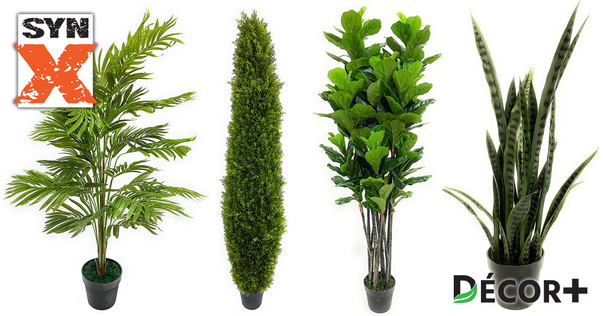 Buy Artificial Plants Products Online SynX Synthetic Experts   Sociaux Decorplus Prod 