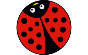 Ladybug