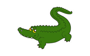 Crocodile